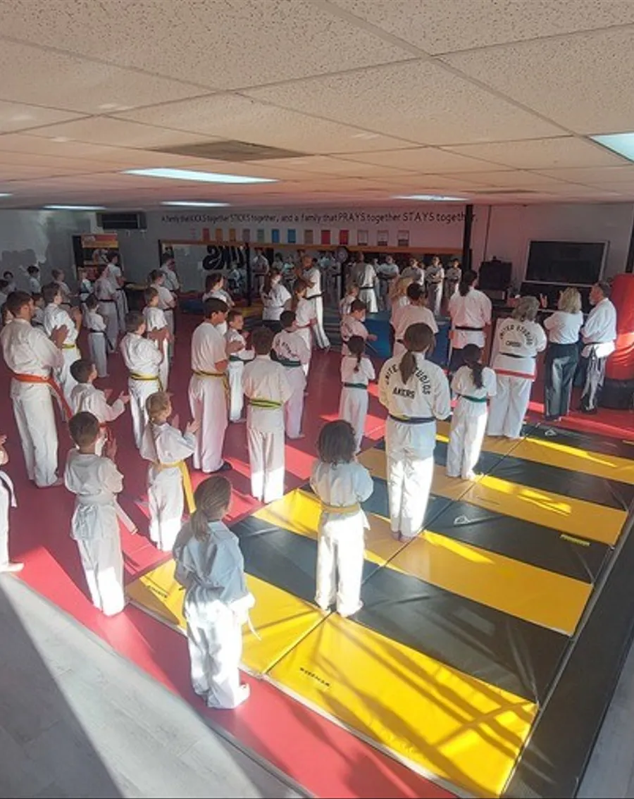 LEARN MARTIAL ARTS, SELF-DEFENSE, AND MORE!